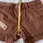 Ksubi  Women’s Jung Shorts Raw hem in clay pot size 26 Photo 10