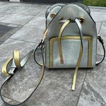 Cute , small metallic bucket purse Photo 0