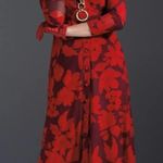 CAbi  Long Sleeve Shirt Dress Floral mesh XS 4392 button down red burgundy Photo 1