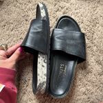 Coconuts by Matisse  Classic Black Slides Photo 1