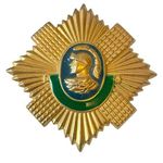 Vtg British Army The Royal Scots Infantry Regiment Pin Badge Blue Green Enamel Photo 0