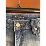 Vigoss The Thompson Tomboy distressed skinny jeans size 26 Photo 1