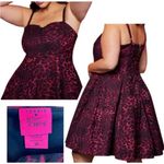 Torrid  x Betsey Johnson pink leopard pinup girl fit & flare dress Photo 2