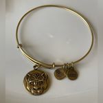 ALEX AND ANI  Silver Wild Heart Panther Bracelet Gold Finish Photo 0