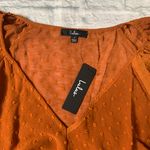 Lulus Swiss Dot Long Sleeve Top Photo 8