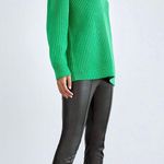 Aritzia Frida Leather Tight Pants Photo 0