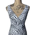 Princess Polly  Nellie Mini Dress Zebra Size 4 Photo 4