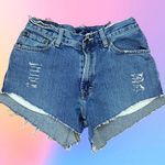 American Eagle AE Distressed Denim Shorts Photo 0