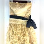 Tadashi Shoji  8 Silk Elegant Ruffle Strapless Formal Maxi Dress Photo 2