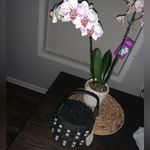 Kate Spade X target black woven basket bag with Pearl accent Nwt sold out spring Photo 3