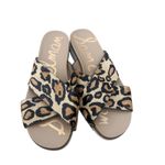 Sam Edelman Leopard Faux Fur Audrea Slides Sz 8.5 Photo 1