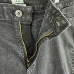 L.L. Bean Classic Fit Black Cotton Blend High Rise Straight Jeans Plus Size 20 Photo 2