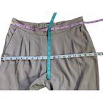 Aritzia Babaton Cohen pants size 6 Photo 5