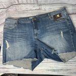 Kut From The Kloth Fray Hem Denim Shorts Women’s Plus 24W Blue Distressed Cutoff Photo 0