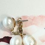 Everly  Freshwater Pearl and Gold Dangle Earrings Photo 1