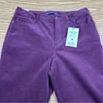 Gloria Vanderbilt Amanda Corduroys Slimming Panel Huckleberry NWT - Size 14 Photo 1