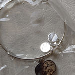ALEX AND ANI  Color Infusion Pumpkin Spice Charm Bangle, Shiny Silver Finish Photo 0