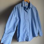 Everlane Blue & White Striped Relaxed Fit Button-Down Shirt XS Photo 6