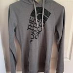 The North Face Gray Hoodie Photo 0