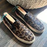 Saint Laurent  Venice Leopard-Print Slip On Sneakers Photo 0