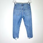 AGOLDE  Sz 27 Riley Crop High-Rise Jean in Emulsion Wash Photo 6