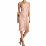 Reiss  Mena one shoulder blush crochet lace dress size 8 Photo 7