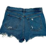 Abercrombie & Fitch  The Mom Short High Rise size 31/12 Photo 1