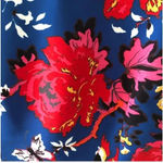 Anthropologie Plenty Tracy Reese Frankie Blue Floral Bird Dress Size 4 Small Photo 4