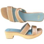 FRANCES VALENTINE Leather Sandals Clogs Wooden Soles Platform Slides Italy 9 EUC Blue Photo 0