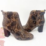 Lucca Lane Avra Snakeskin Booties Sz 9.5 Photo 4