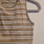 Aura  Striped Crop Top - Cream and Brown Photo 5