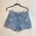 Forever 21 High Rise Ripped Denim Shorts Photo 1