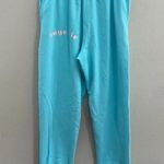 Boys Lie NWT  Sweatpants - Aqua Blue w/ Pale Pink Text Photo 5