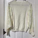 Main Strip Cream Off White Crewneck Sweater with Lace semi sheer sleeves small Photo 2