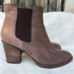 Aquatalia  Taupe Ankle Boots Photo 1