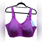 Cacique Cotton Collection Lightly Lined No-Wire Bra 46D – NWT Purple Lane Bryant Photo 1