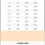 Chloé CHLOE MaryJane Round Toe Brown Leather Heels Size 38/8 Photo 10