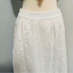 ZARA New High Waisted White Bohemian Embroidered Eyelet Lined Midi Skirt Size M Photo 9