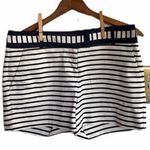 The Limited ⭐️ | Blue & White Striped Dressy Shorts Photo 0