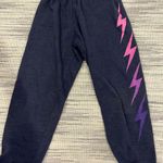 Aviator Nation Sweatpants Photo 0