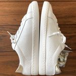 Vintage Havana  Carla Sneakers Gold Snake Size 8 Star Shoes White Sneakers NEW Photo 6