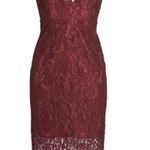 Bardot Pencil Lace Dress Photo 4