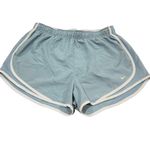 Nike  Dri-fit Shorts size L Photo 2