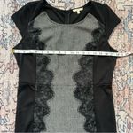 Mystree  Elegant Black and Gray Lace Panel Knit Dress Cap Sleeve Large Photo 5