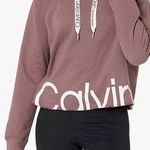 Calvin Klein Performance Women's Logo Long Sleeve Raglan Crop Pullover Hoodie Purple Size M Photo 0