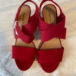 American Eagle  Wedge Heels Photo 0