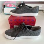 Tory Burch  Marion Quilted Fleece Lace Up Sneakers, Dovestone 8 EUC Photo 4