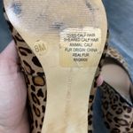 Banana Republic  Animal Print Calf Hair Heel Pump Photo 6