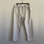 AGOLDE NWT 90's Pinch Waist Jeans in Rain Photo 3