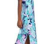 Lilly Pulitzer Lookin Sharp Wynne Maxi Dress- Size XXS Photo 1